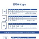 드루아 이미지