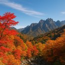 단풍 - 문경시 당교10길 17-3 | 단풍