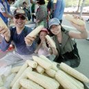 장터소비자마트 이미지