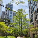 지에스(GS)25 개포자이 이미지