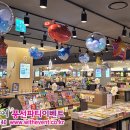더불어풍선파티이벤트