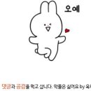 한국국제대학교 부설유치원 이미지