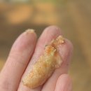 까까멍펫푸드 이미지