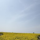 서머셋가든