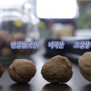 호두나무 이미지