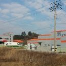 신안우럭 이미지