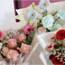 수원-0748 이미지