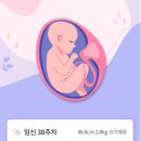 플러스마중 이미지