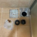 남명더라우1단지 이미지