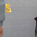 신동물병원 이미지