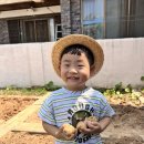 새나래유치원 이미지