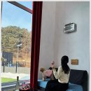 딩동댕애견스파풀빌라 이미지