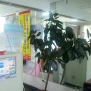 양감우체국 이미지