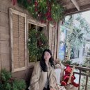 이제연 카카오 검색결과