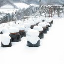 상옥농장 이미지