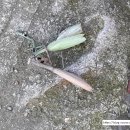 유강한의원 이미지