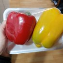 영재네농산물