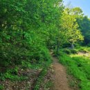 대한불교천태종 안산 월강사 | 산책길 수리산에서 반월호수 안산 수리실 고갯길
