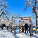 2월10일(월) 주목의 천국, 발왕산 트레킹여행(장봉대장님) 빈자리 1 이미지