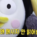 오리쌈밥 이미지