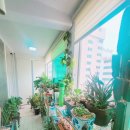 배산부동산공인중개사사무소 이미지