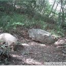 (주)알비노 이미지