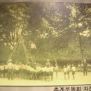 삼호초등학교 Daum카페