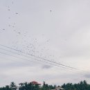 거제사랑치과의원 이미지