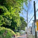 라스트춘선 홍대 이미지