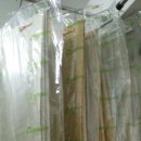 태평세탁소 이미지