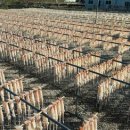 구룡포이선옥과메기 이미지