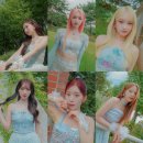 담아드림 이미지