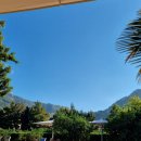 신행농장 | [신행후기]🍊가득한 스페인 마요르카 소예르 감성숙소 핀카카스쿠리알