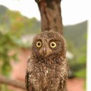 고향(故鄕) 바라보다 이미지