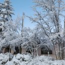 대관령가는길 이미지