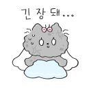 스튜디오드리 이미지