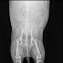 로고스 동물병원 이미지