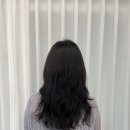 헤어리움(HAIR RIUM)