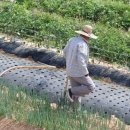 김문수농장 이미지