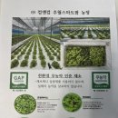 추월농장 이미지