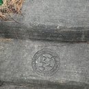 라라논골 | 강원도 묵호 동해 바다 도째비골 스카이밸리 스카이워크 후기