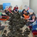 새참수레반찬 이미지