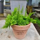 북유성대로(유성-28) 이미지