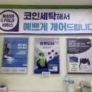 크린토피아코인워시여수장성 | [여수 빨래방] 요즘엔 코인세탁기 돌리면 예쁘게 개어...하네요?!! / #코인세탁기 #크린토피아 #장성마을점