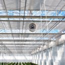 고광주농장 이미지