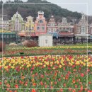 4월, 문화가 있는 날 <서커스 디랩>(공연취소) | 에버랜드 튤립축제 4월 자유이용권 할인 + 팀에버랜드 서커스 공연 후기 &amp; 꿀팁 총정리