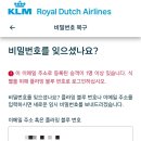 [포르투갈여행] 인천-암스테르담 KLM 탑승후기(ft.이코노미 컴포트 비추)
