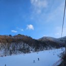 정한농원 | [무주] 무주 겨울여행 1박2일 코스 추천 :: 스키장, 덕유산, 무주농원(내돈내산)