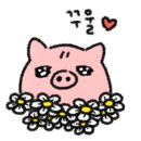 가제트(GAZETTE) 이미지
