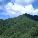 태봉한의원 이미지